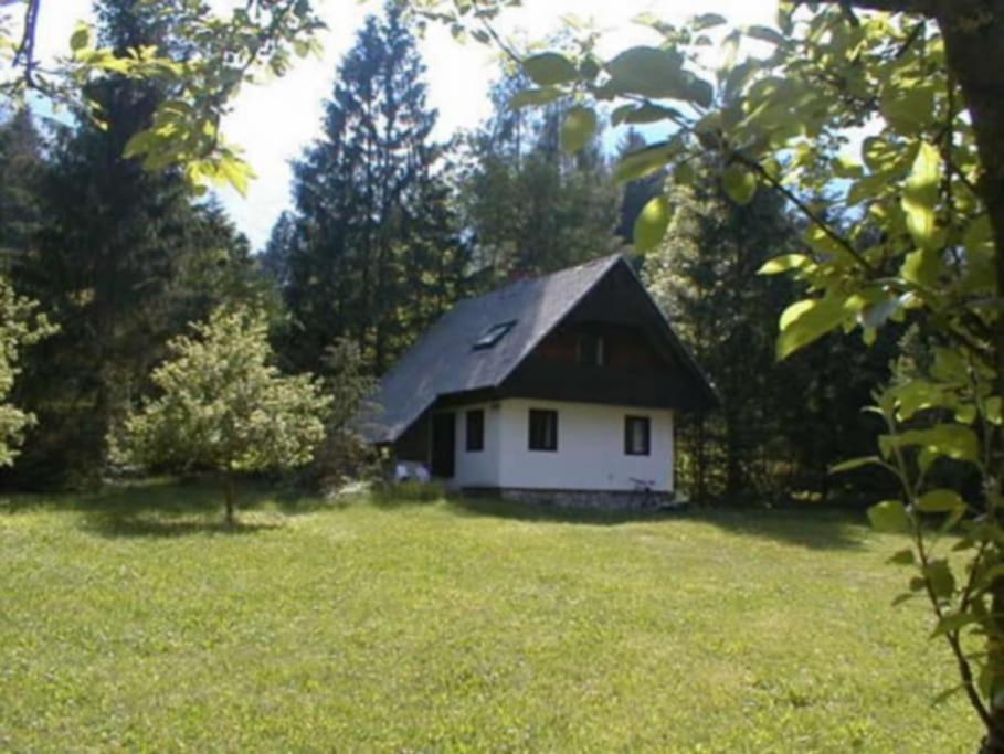 Apartment Lake Bohinj No. 5 Ngoại thất bức ảnh